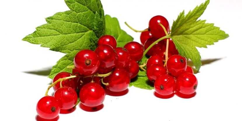 Red currant is on the list of prohibited foods in a hypoallergenic diet. 